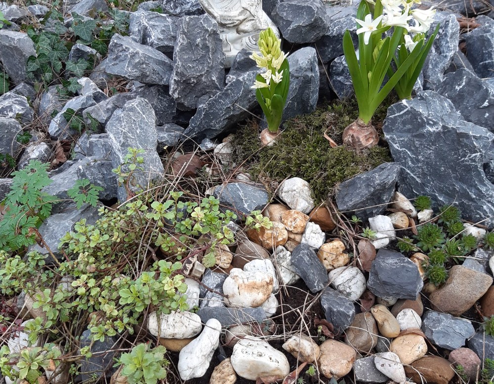 Duisburg: Garten Edel e.V.