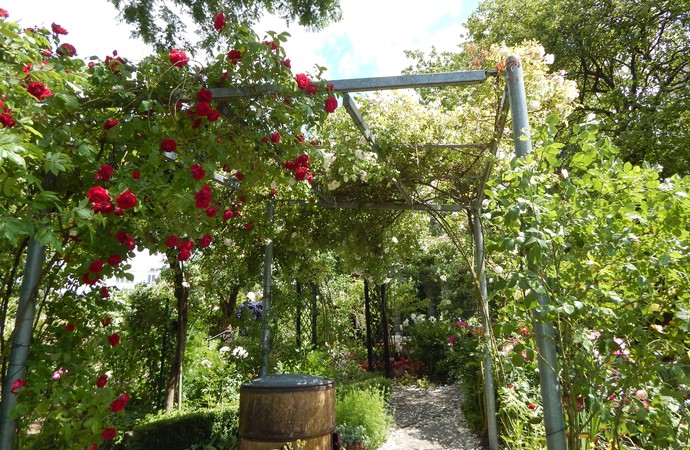 Rosengarten Bolz, Bestwig