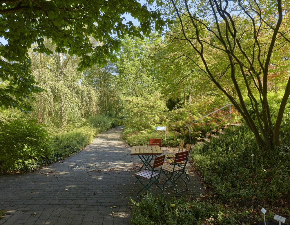 Höxter, Botanischer Garten Höxter