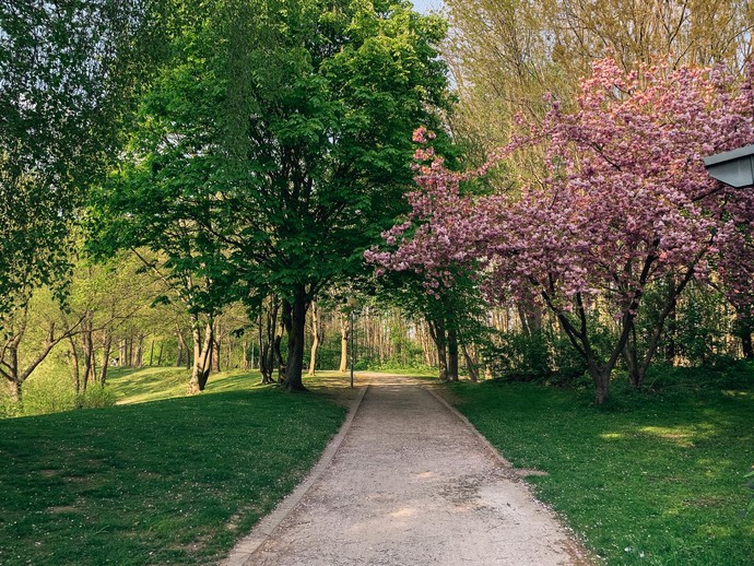 Revierpark-wischlingen-frühling