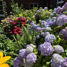 Senden, Gosselmanns Hof