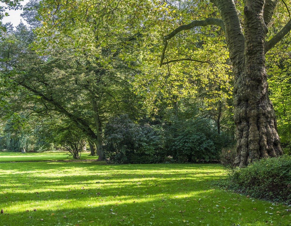 Gelsenkirchen: Von-Wedelstaedt-Park