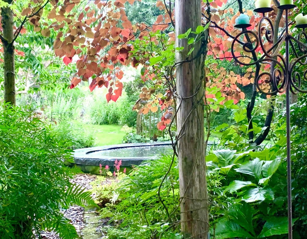 Blickachse Schattenterasse mit rotem Judasbaum und Trampolin