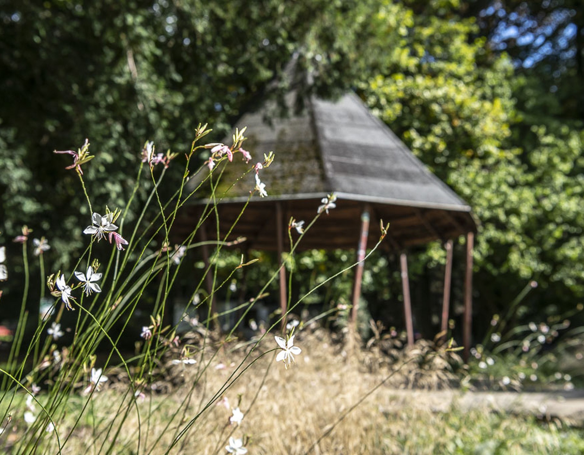 Revierpark Gysenberg in Herne, Schutzhütte, Bäume und Blumen