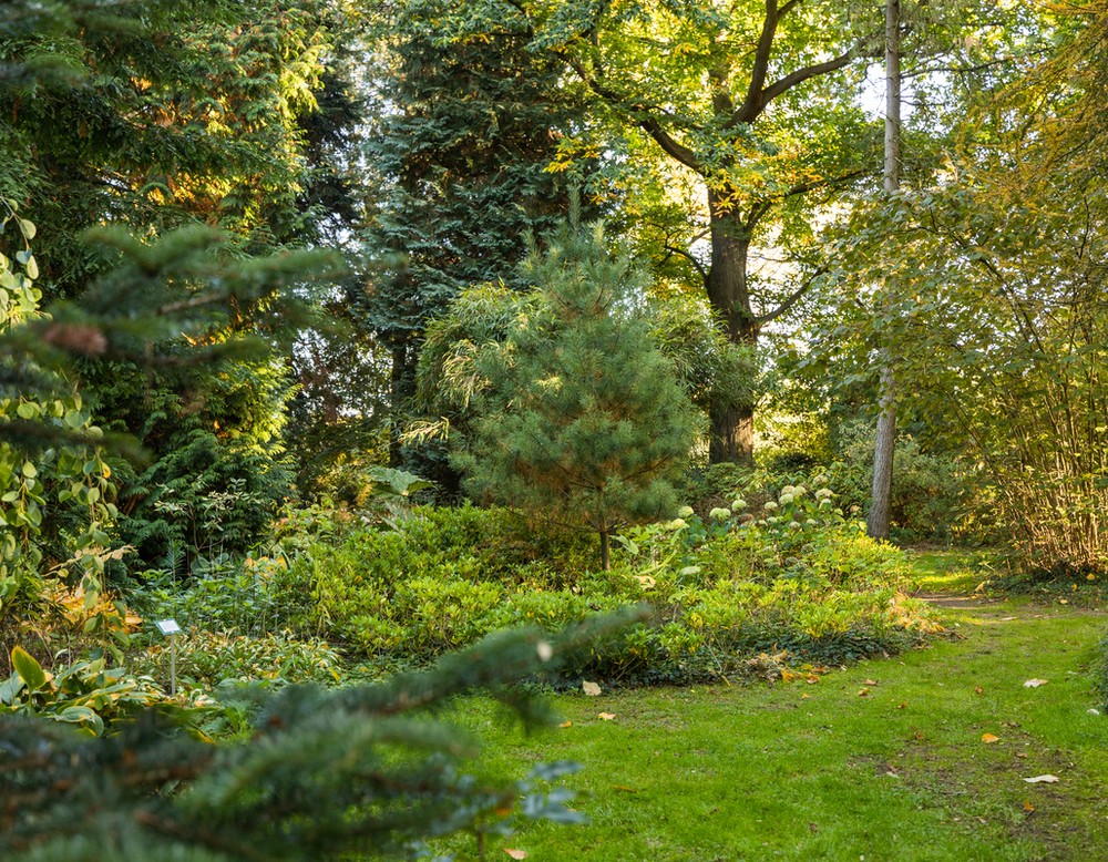 Garten Loismann in Ibbenbüren
