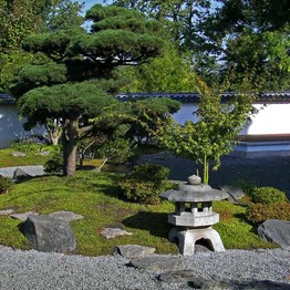 Die Kranichinsel des Japanischen Gartens Bielefeld. Geschmückt wird sie von einer Formkiefer. Diese stellt einen Kranich dar und ist somit Symbol des Glücks und der Langlebigkeit.