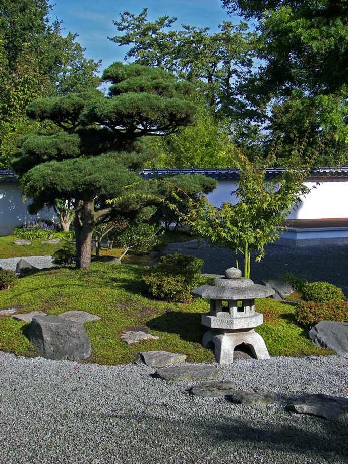 Die Kranichinsel des Japanischen Gartens Bielefeld. Geschmückt wird sie von einer Formkiefer. Diese stellt einen Kranich dar und ist somit Symbol des Glücks und der Langlebigkeit.