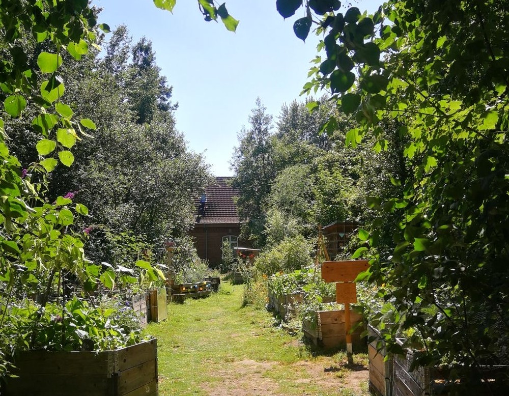 Campusgarten Grüne Beete