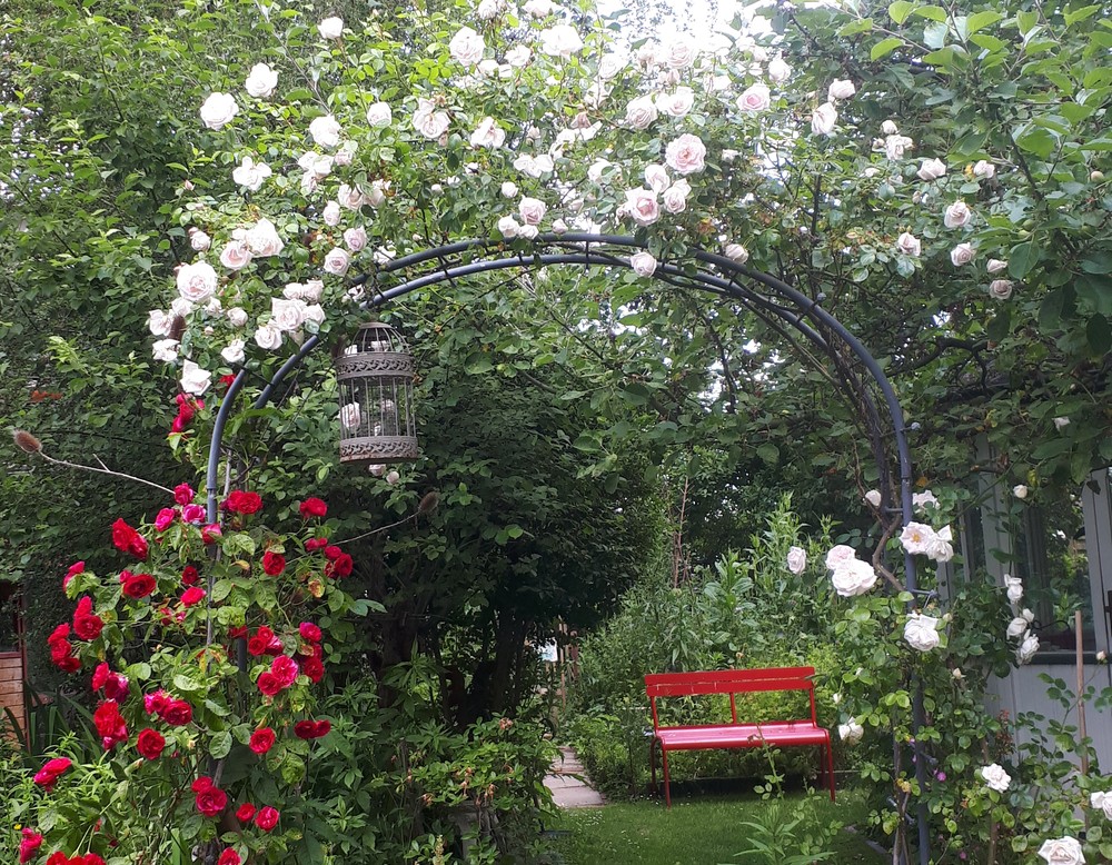 Garten Dieter Grabsch