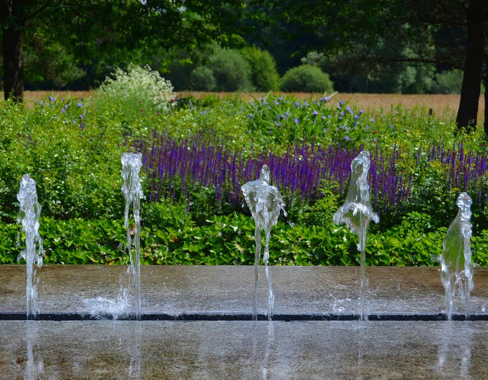 Wunderbaum - Rizinusstrauch im Stadtpark Botanischer Garten Gütersloh