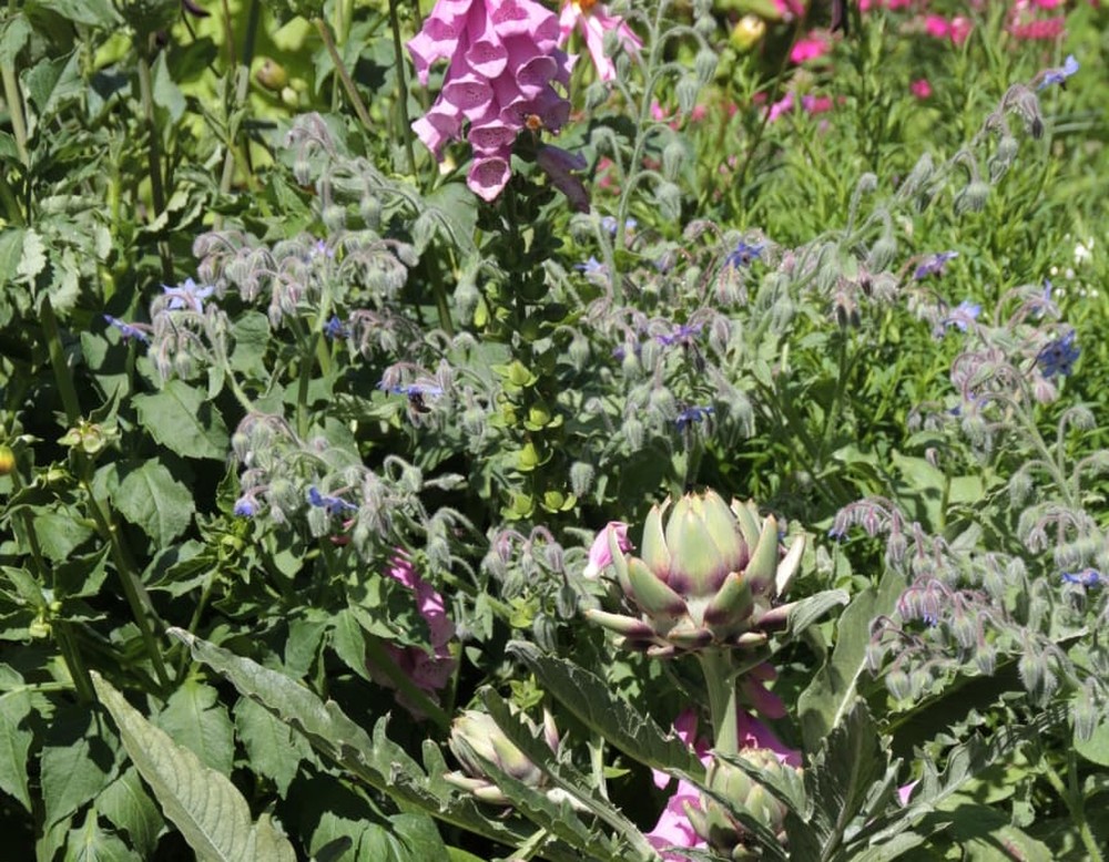 Bochum Südwest, Naturgarten - im freien Zuhause