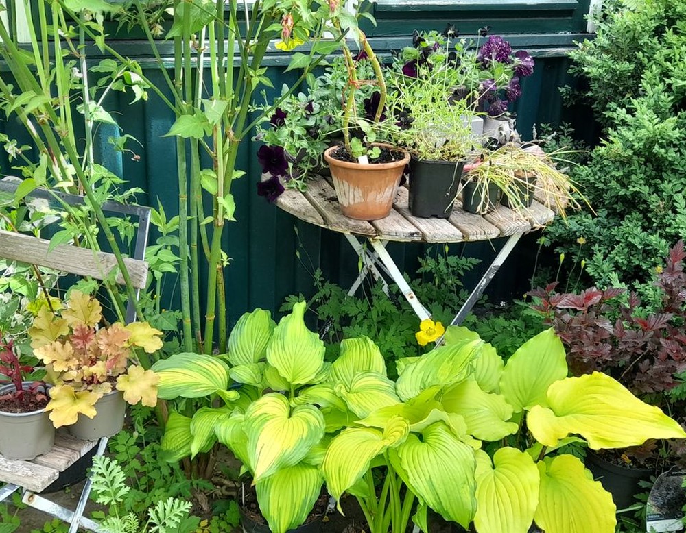 Garten Lisa und Lothar von Bargen