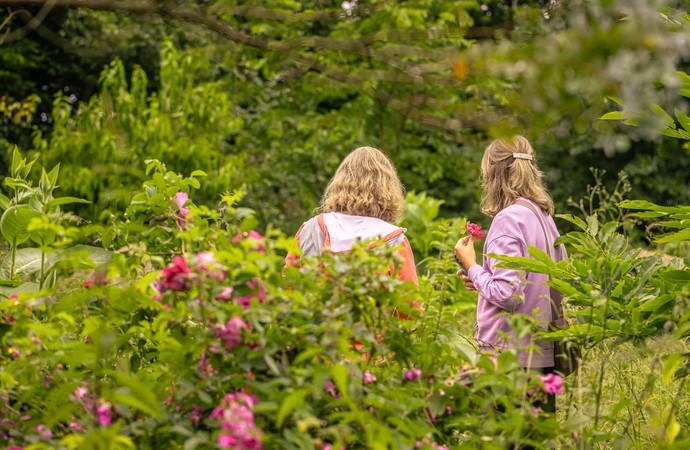 "Tage der Gärten und Parks in Westfalen-Lippe"
