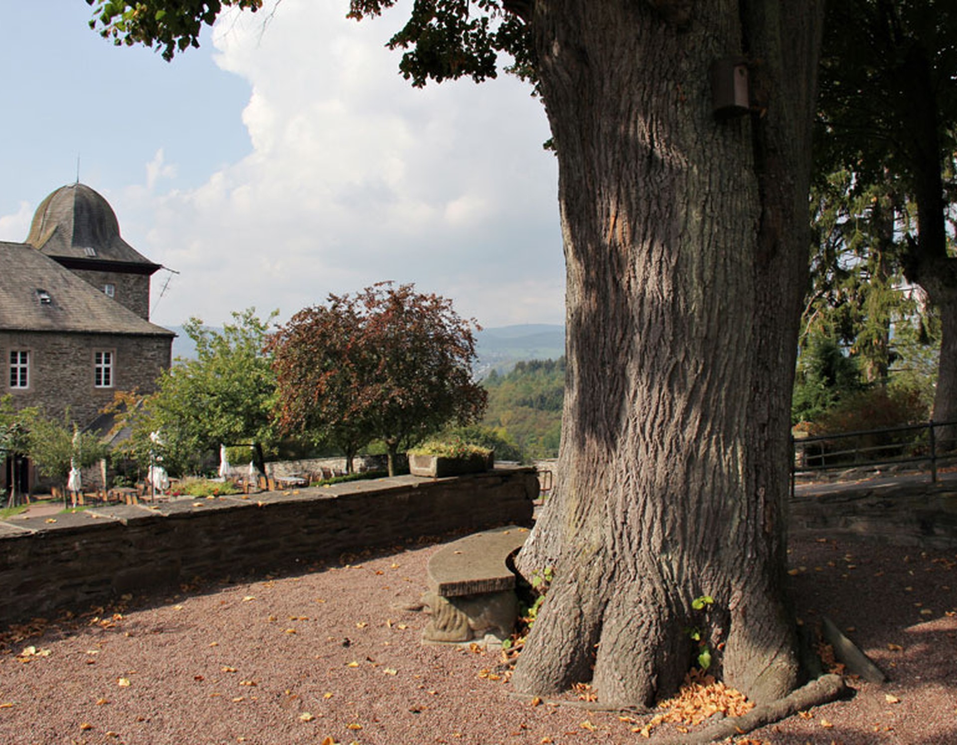 Baum mit Steinbank im Innenhof der Vorburg der Burg Schnellenberg.