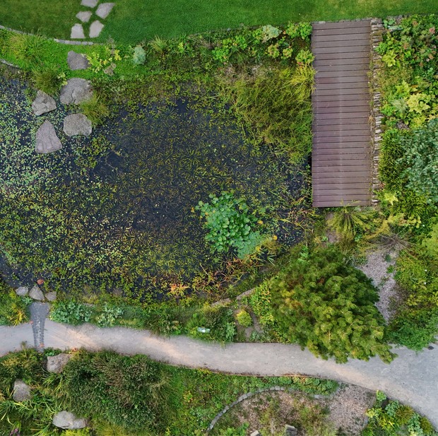 Kreislehrgarten Steinfurt, Gartenteich von oben
