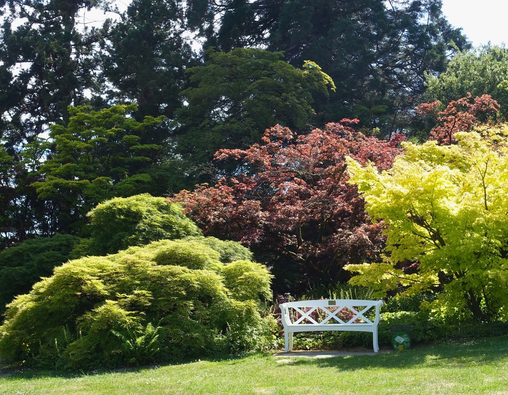 Botanischer Garten Bielefeld