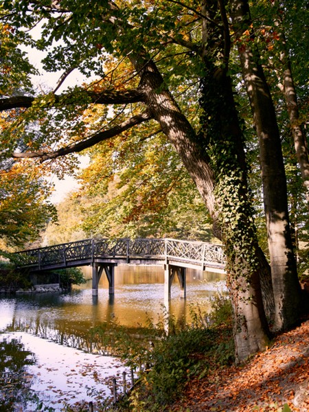 Steinfurt Bagno Park