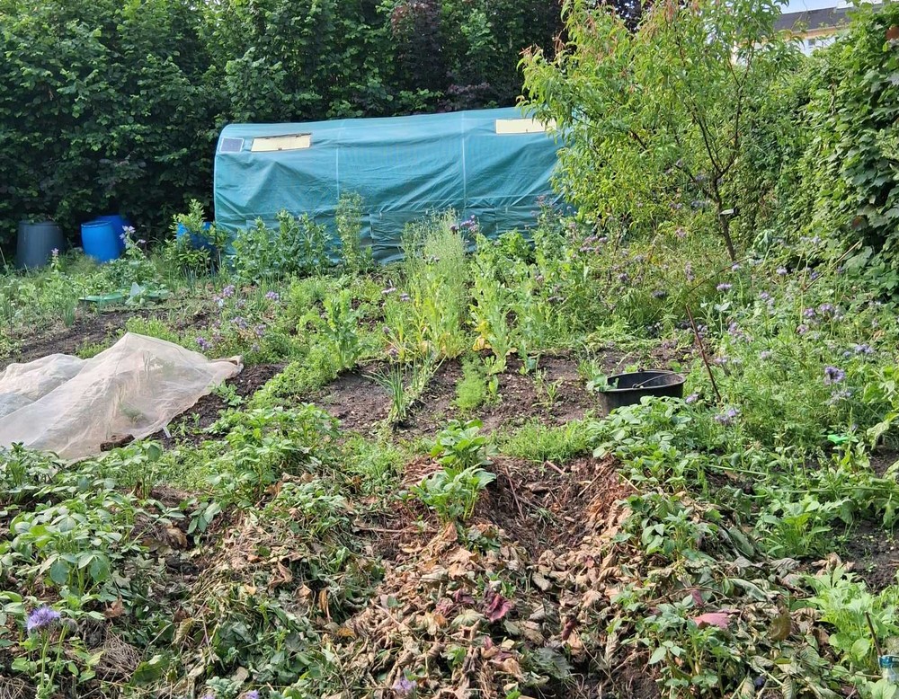 Schräger Bahn Garten