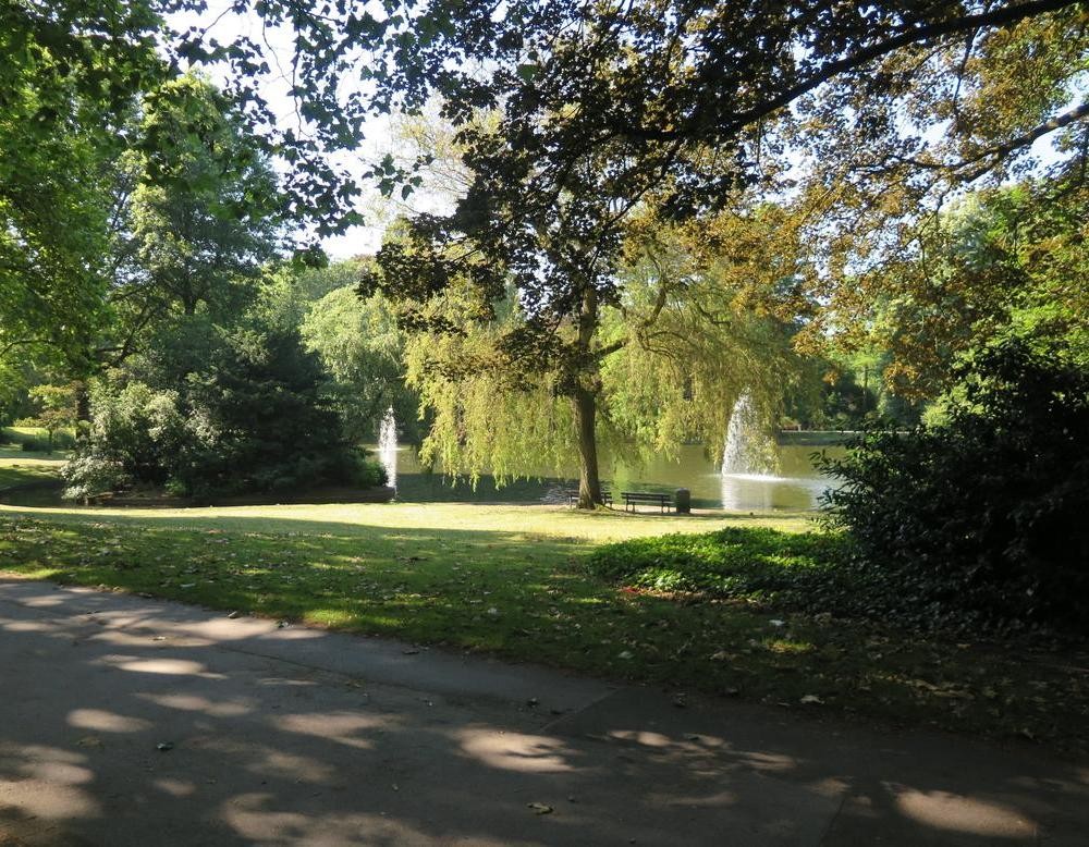 Eine Trauerweide, die am Teich des Stadtgartens Gelsenkirchen steht. Im Teich befindet sich eine Fontäne.