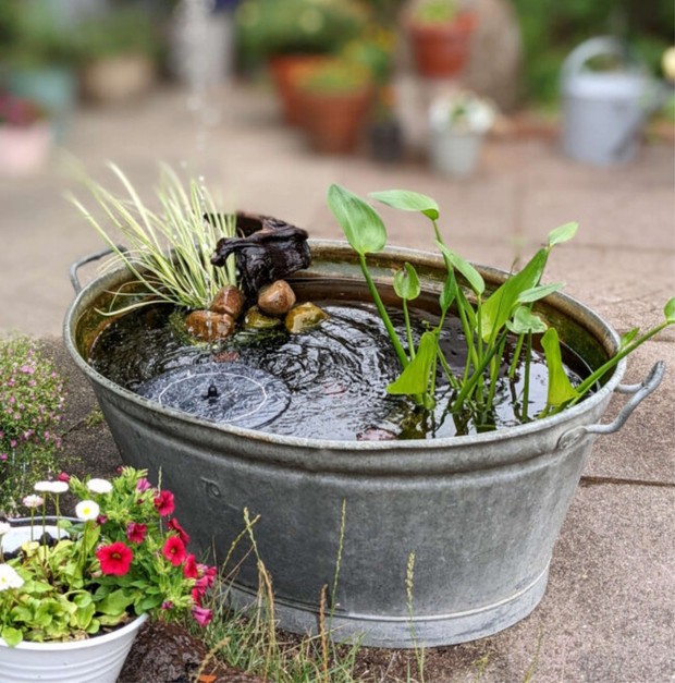 Miniteich in Zinkwanne