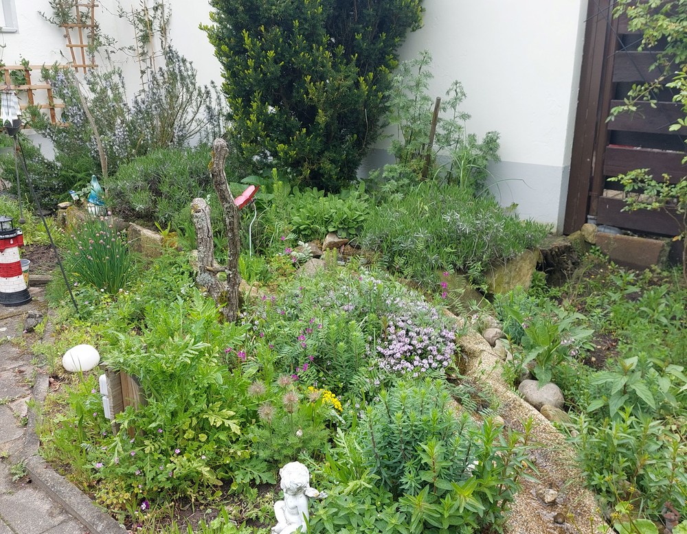 Rheine, Garten Falkenstraße