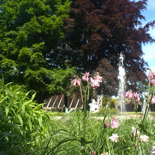 Kurpark Bad Westernkotten
