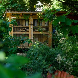 Essbarer Waldgarten 7000 Schmetterlinge in Dortmund