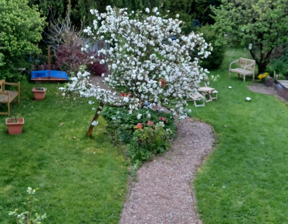 Bad Driburg, Garten der Generationen