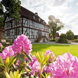 Borchen, Mallinckrodthof