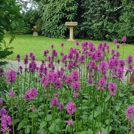 Das Gartenhaus