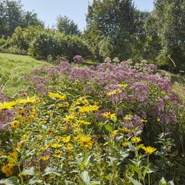 Höxter, Botanischer Garten Höxter