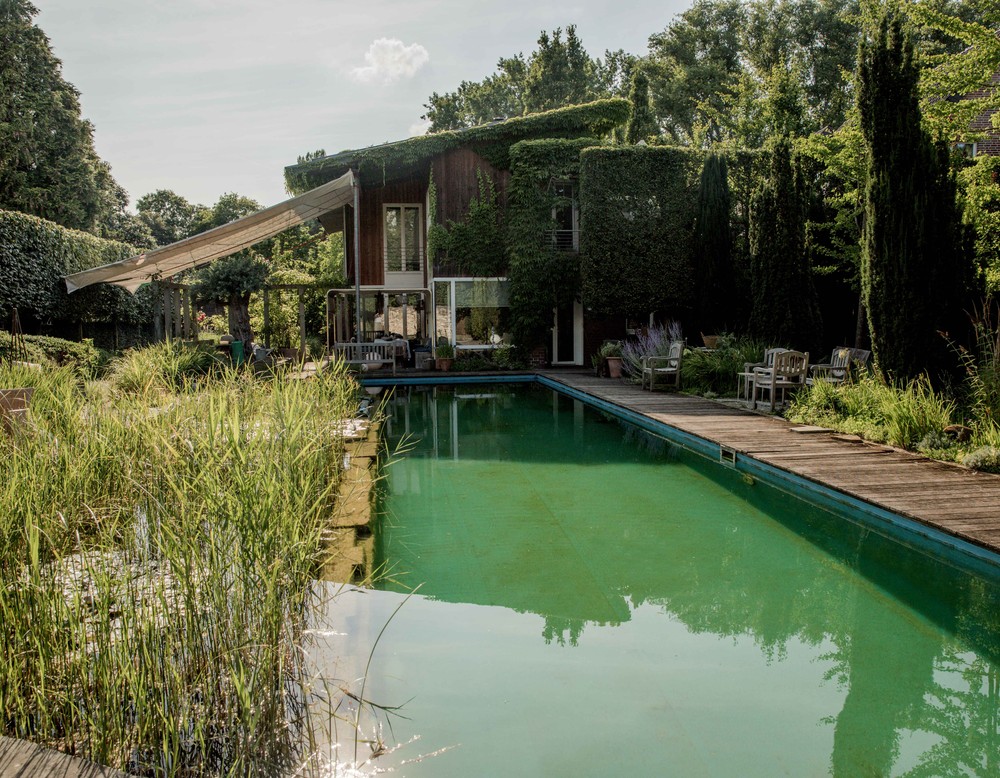 Wasser, Rosen, wilder Traum