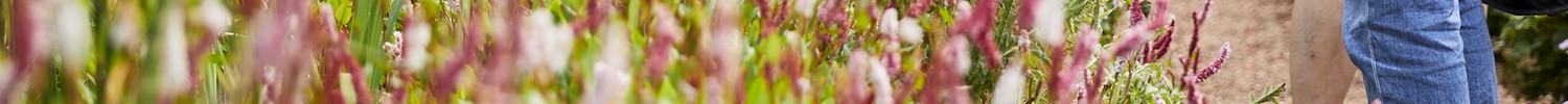 Blumen, Hand