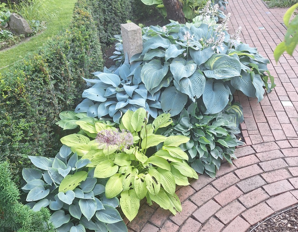 Licht- und Schattengarten