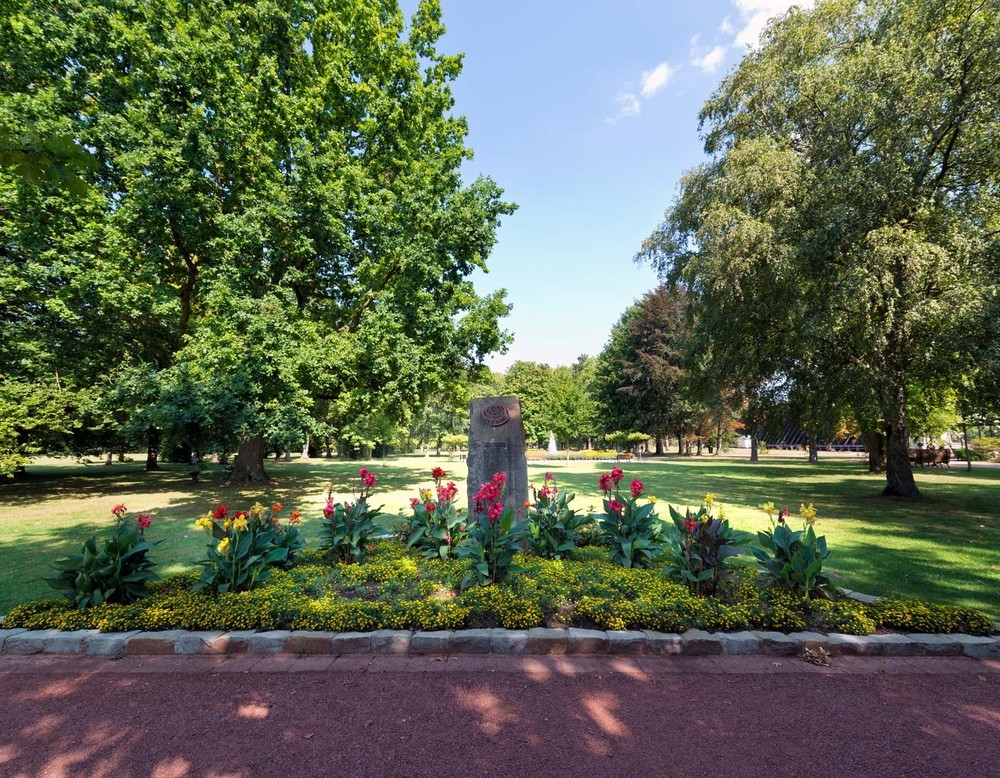 Wildblumenbeet im Kurpark von Erwitte-Bad Westernkotten.