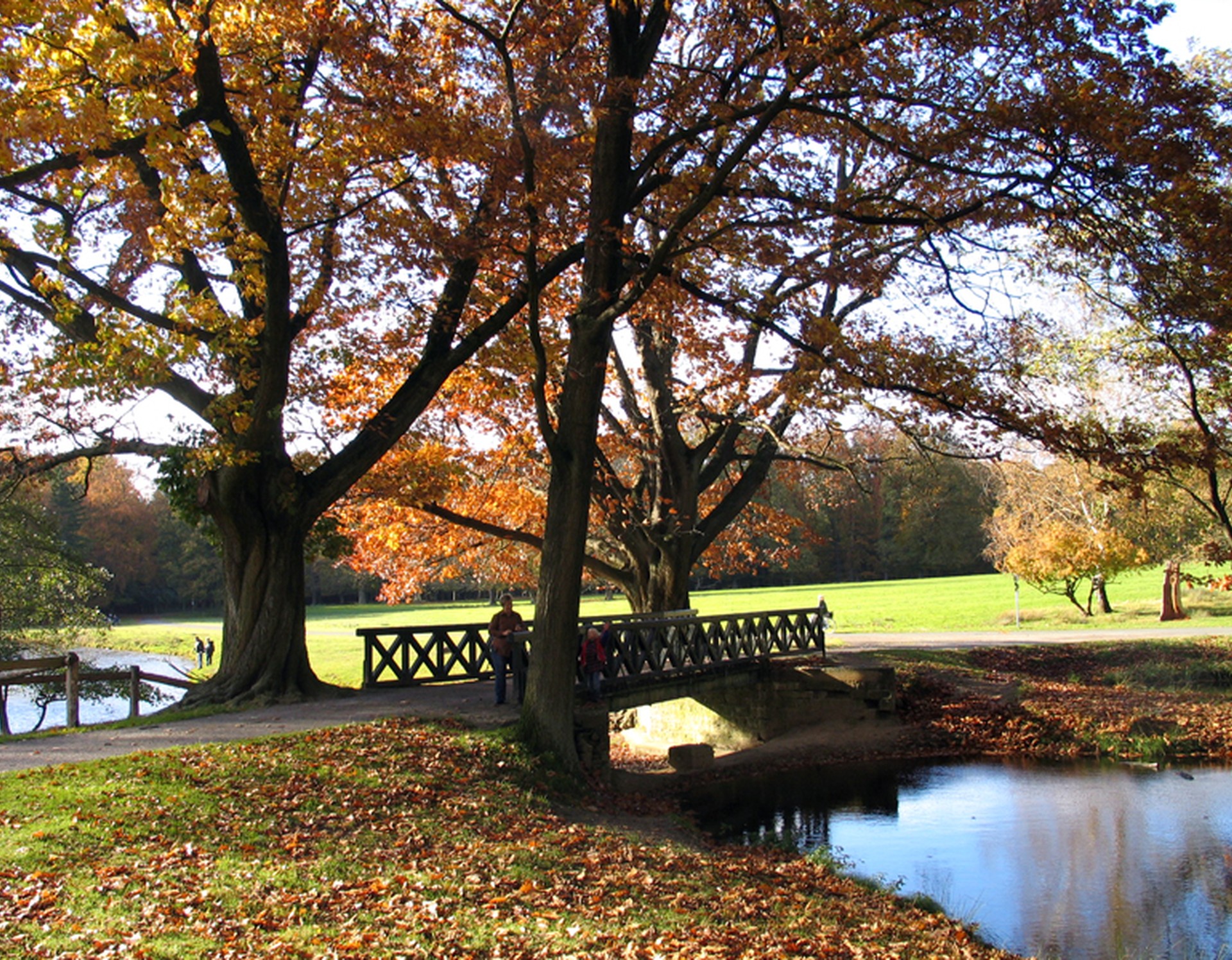 LWL | Dülmen: Der Wildpark - Gärten und Parks in Westfalen-Lippe