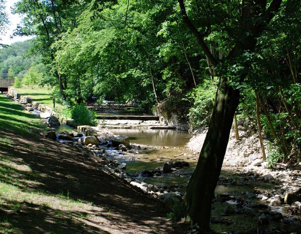 Bachlauf der Parklandschaft Friedrichstal in Detmold.