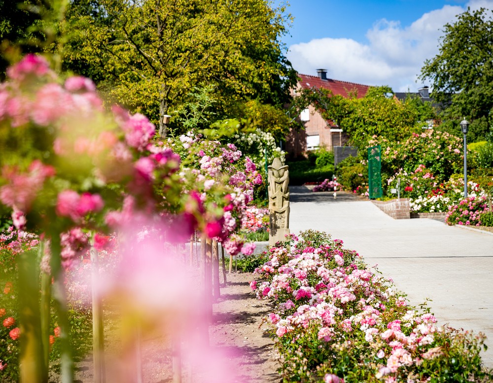 Rosengarten Seppenrade