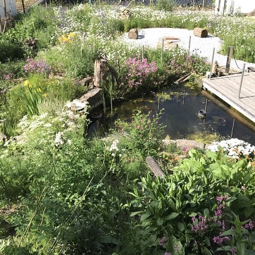 Gevelsberg: Hortus pharmaceuticus
