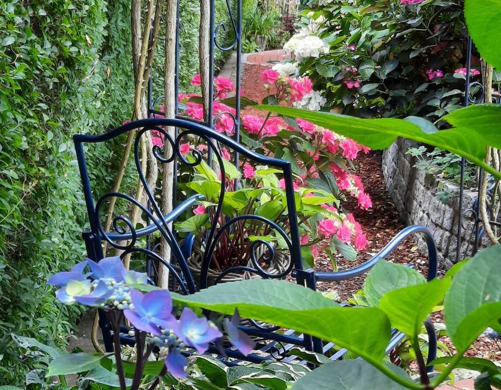 Hamm, Cottage Garten