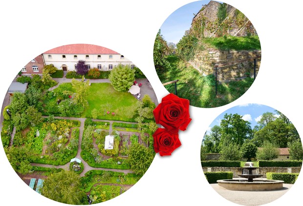 v. l. n. r.:
Garten des Franziskanerklosters Wiedenbrück / Weinberg des Schlosses Hohenlimburg in Hagen / Garten des Klosters Dalheim in Lichtenau v. l. n. r.:
Garten des Franziskanerklosters Wiedenbrück / Weinberg des Schlosses Hohenlimburg in Hagen / Garten des Klosters Dalheim in Lichtenau