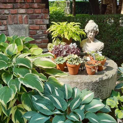 Garten Kisfeld