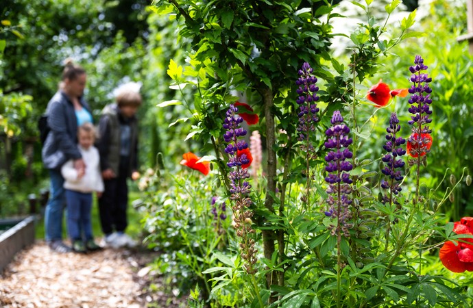 Marienfeld_KlostergartenMarienfeld