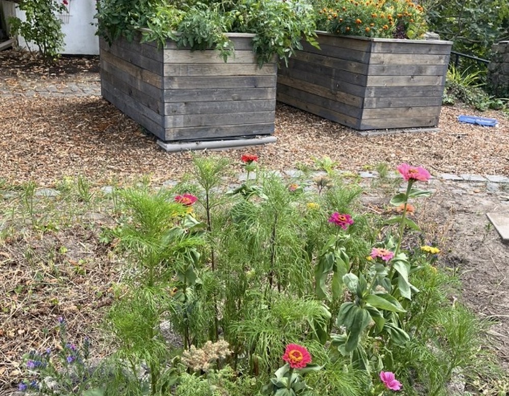 Dortmund, Berghofer Schulgarten