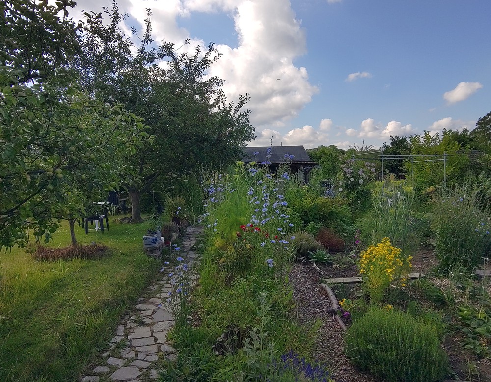 Dortmund: Naturnaher Kleingarten Nr. 33