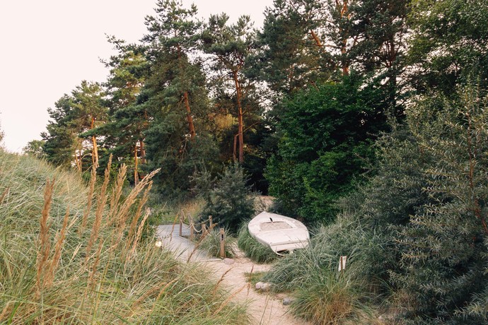 Rombergpark Dortmund