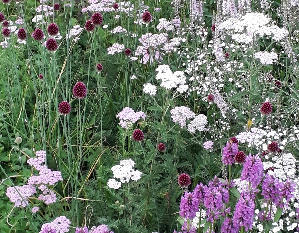 Werne, Garten Jankowski