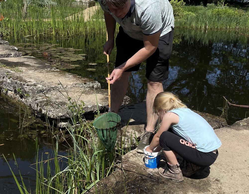 Kruidenhof te Mallum