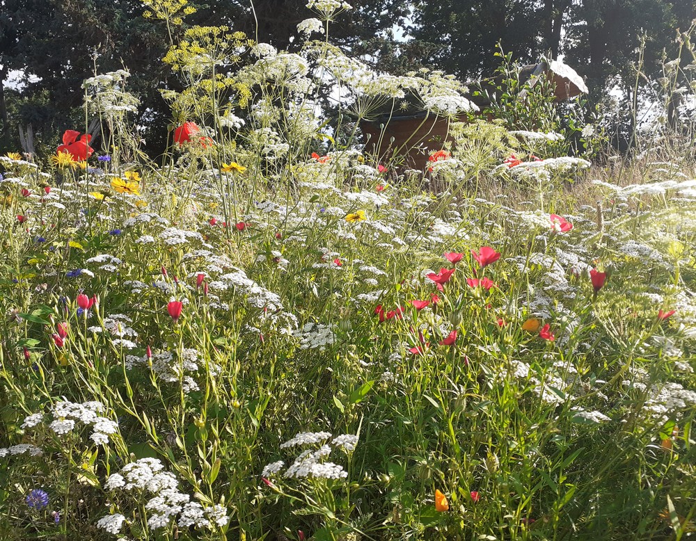 Garten der Töpferei Stemwede