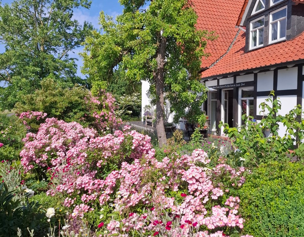 Garten Raabe
